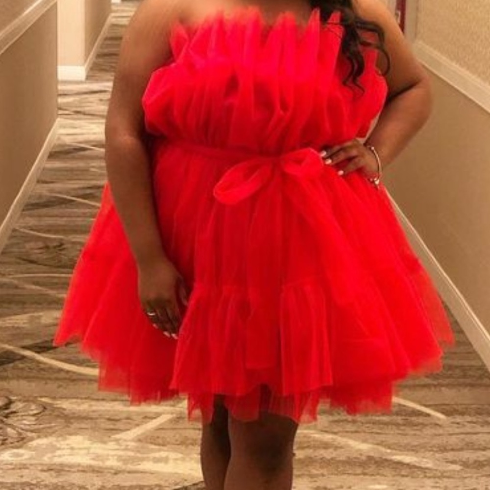 Red Tulle Dress.